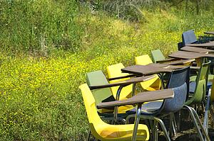 Bunch of old school chairs in grassy field