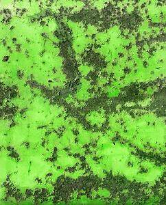 Closeup of rusty green metal siding.