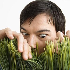 Young man looking through grass with determined expression