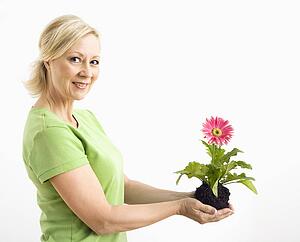 Side view of smiling adult blonde woman standing holding pink gerbera daisy plant.