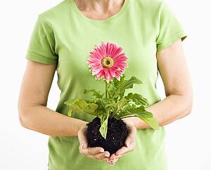 Portrait of woman standing holding pink gerbera daisy plant.