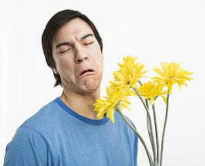 Young man holding bouquet of yellow gerbera daisies with bad look on his face.