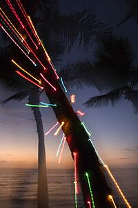Colored lights on palm tree abstracted by camera movement