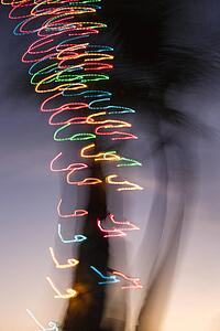 Colored lights on palm tree abstracted by camera movement