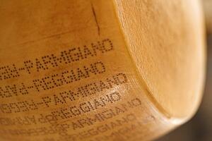 Hunk of stamped parmigiano cheese