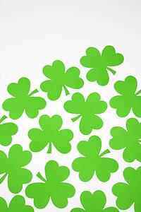 Group of green paper shamrocks on white.