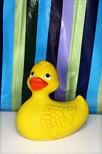 Still life of rubber duck with a striped shower curtain in background