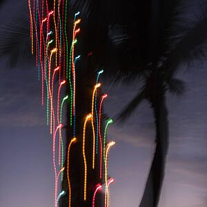 Colored lights on palm tree abstracted by camera movement