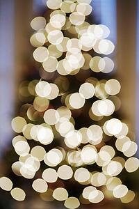 Blurred abstract Christmas tree lights
