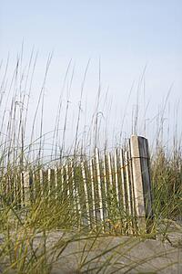 Weathered wooden fence with beach grass on Bald Head Island, North Carolina.