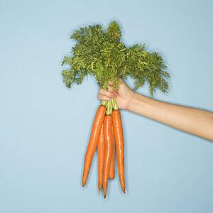 Woman arm holding out fresh bunch of carrots against blue background