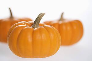 Still life of three orange pumpkins against white background
