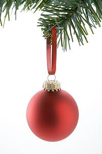 Red Bauble Hanging From Tree Against White Background
