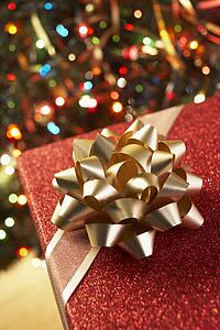 Christmas Present Under Christmas Tree