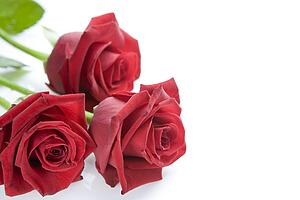Three Roses