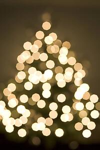 Soft Focus View Of Christmas Tree And Lights