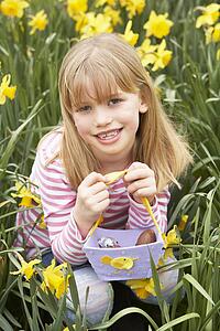Young Girl In Daffodils At Easter