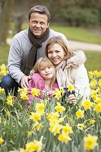 Family Group In Daffodils