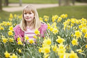 Young Girl Surrounded By Daffodils