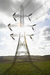 Electricity Pylons In A Paddock