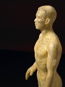 Meridian Lines On An Acupuncture Figurine