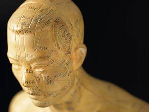 Meridian Lines On An Acupuncture Figurine