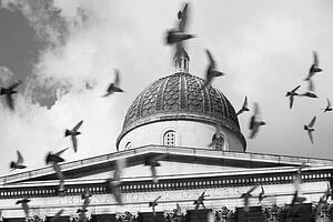 Birds Flying In Front Of The National Gallery, London, England