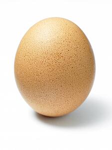 Studio Shot Of An Egg