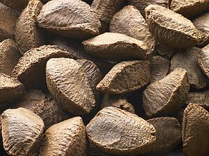 Brazil Nut Shells