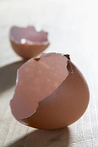 Broken Egg Shell