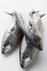 Fresh Fish On Bench