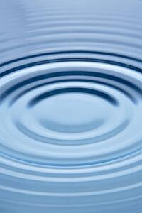 Concentric Circles Forming In Still Water