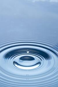 Concentric Circles Forming In Still Water