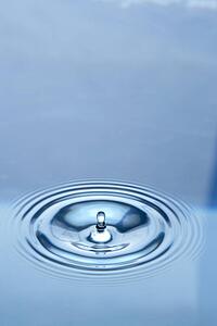 Concentric Circles Forming In Still Water