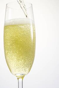 Single Champagne Flute