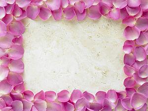 Rose Petal Photograph Frame