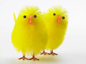 Toy Chick For Easter Celebrations