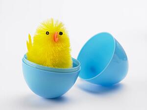Easter Chick Hatching Out Of Egg