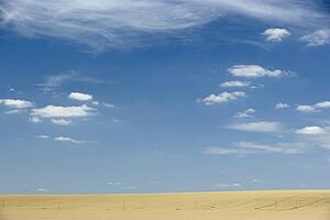 Dry Pasture Underneath A Blue Sky