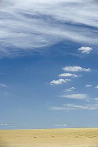 Dry Pasture Underneath A Blue Sky