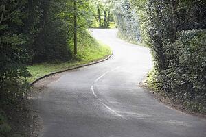 Winding Country Road Sided By Hedges