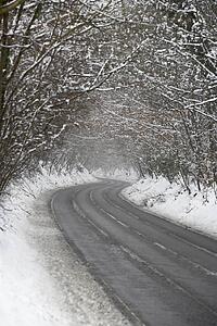 Country Road Lined With Snow And Skeletal Trees
