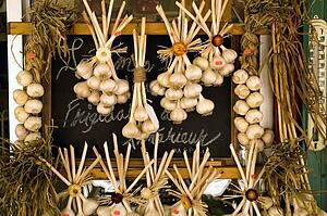 Hanging garlic bulbs
