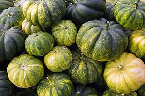 Squash