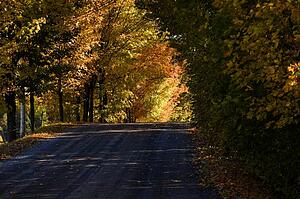 Rural road, Quebec, Canada