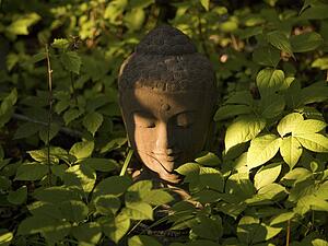 Lake of the Woods, Ontario, Canada; Buddha statue amongst plants