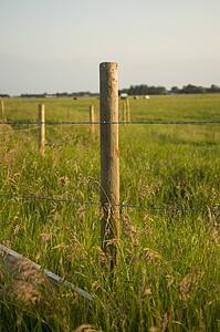 Lake of the Woods, Ontario, Canada; Prairies