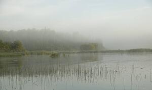Lake of the Woods, Ontario, Canada; View across lake at sunrise