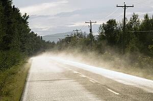 Foggy road