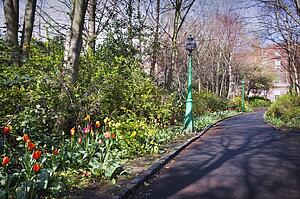 Spring flowers lining a formal driveway